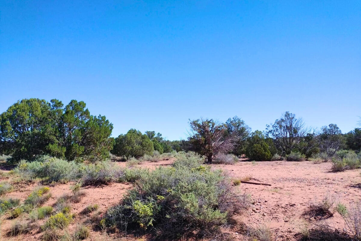 South big lot, Hill - 3992 Sorrel Rd, Snowflake, AZ 85937, USA