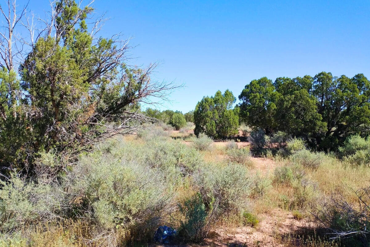 South big lot, Hill - 3992 Sorrel Rd, Snowflake, AZ 85937, USA