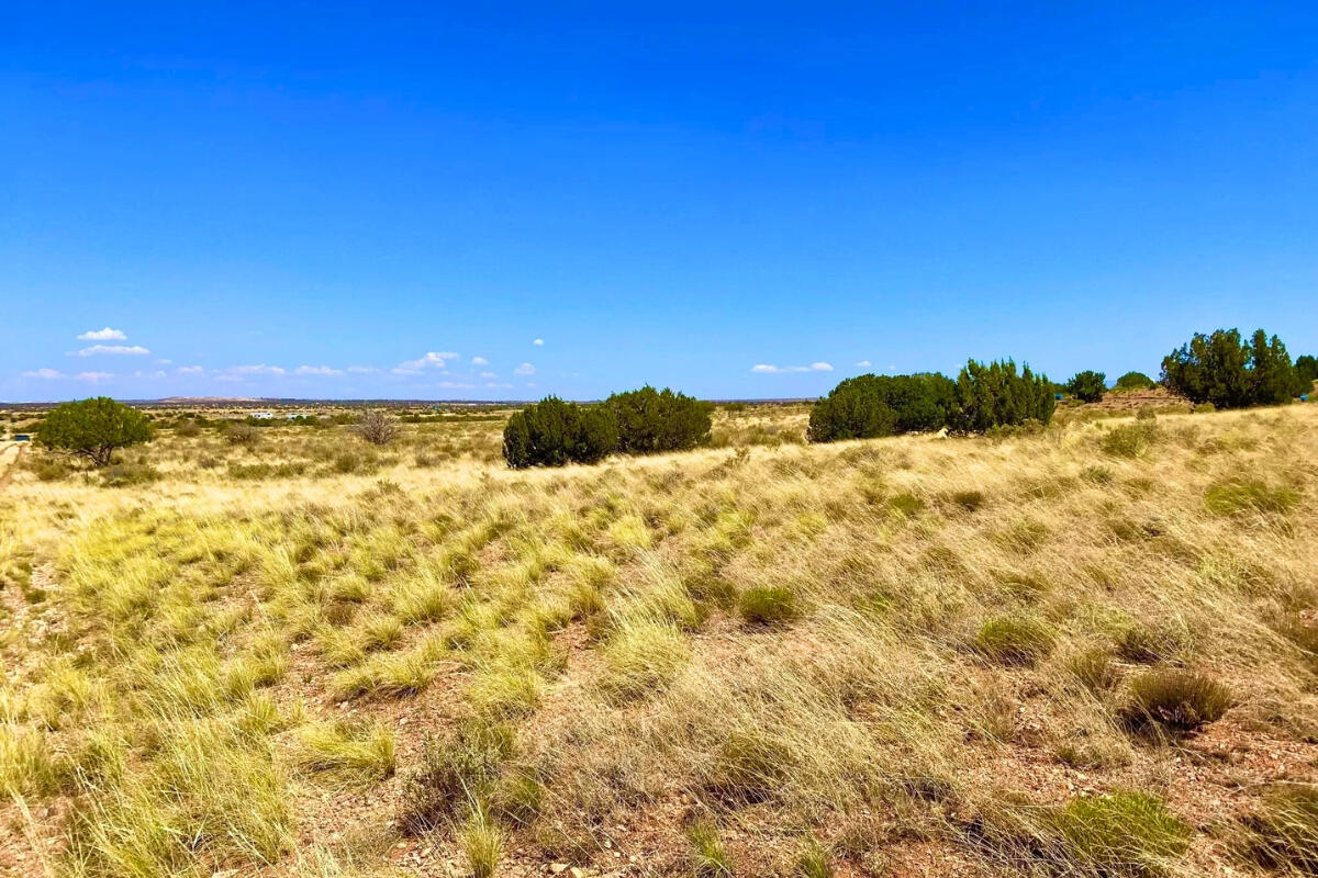 South big lot, Hill - 3992 Sorrel Rd, Snowflake, AZ 85937, USA