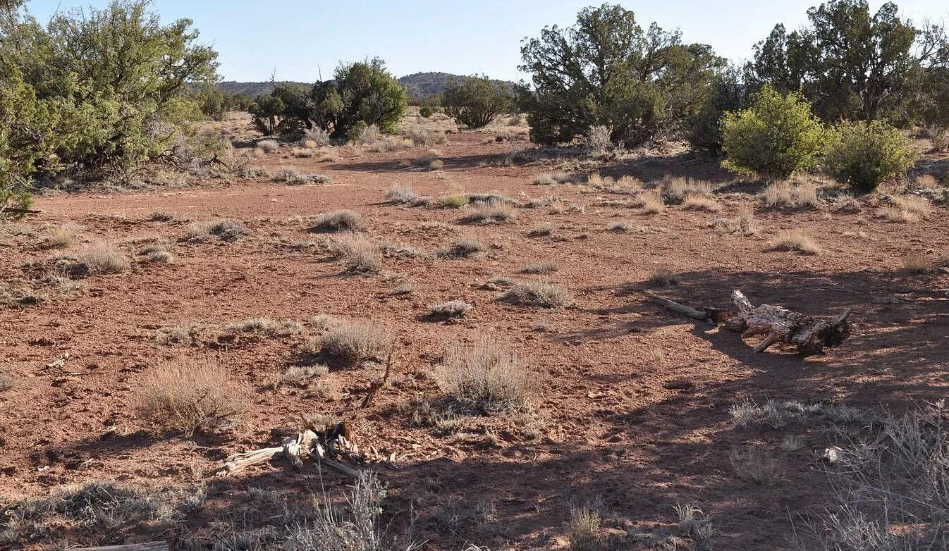South big lot, Hill - 3992 Sorrel Rd, Snowflake, AZ 85937, USA