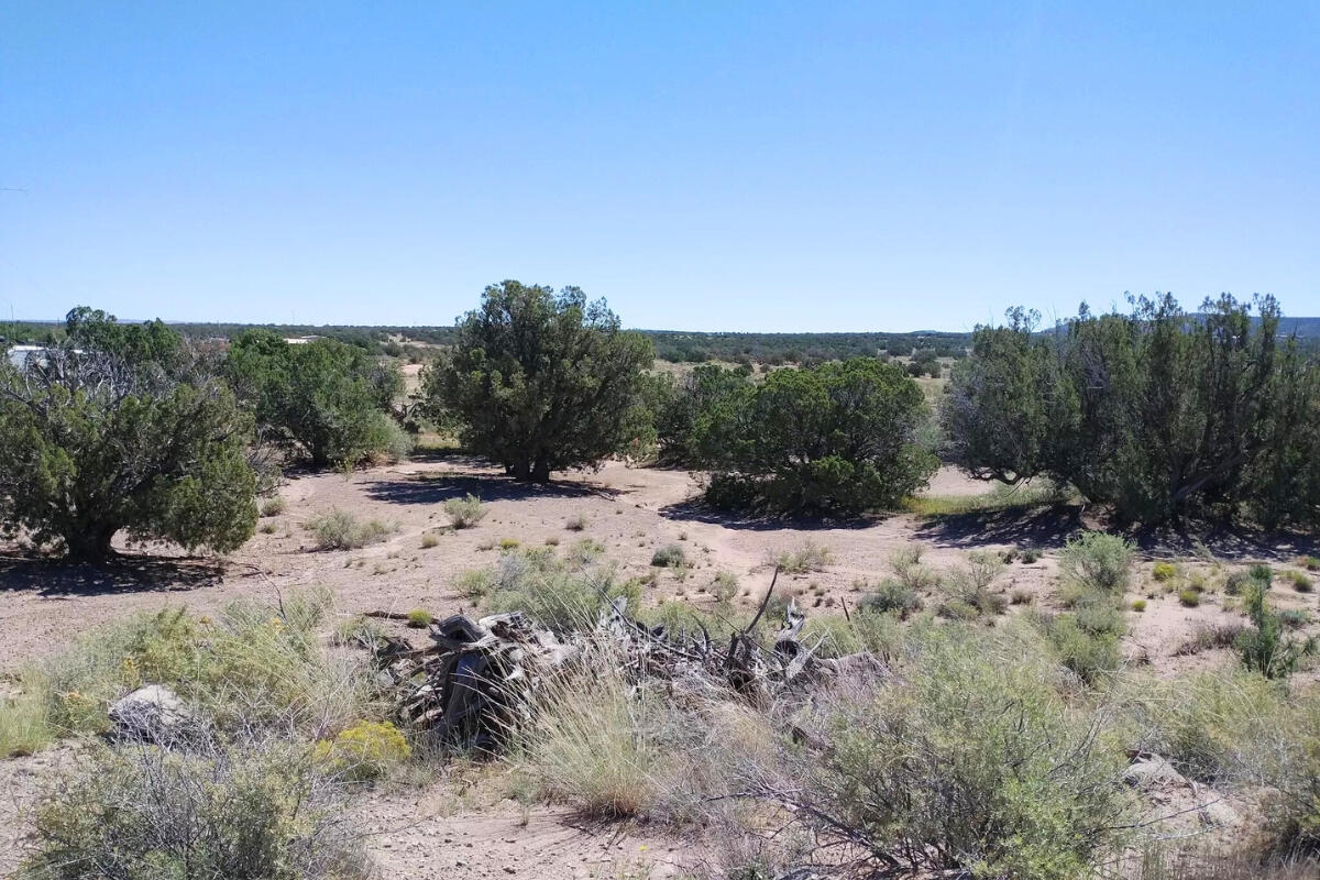 South big lot, Hill - 3992 Sorrel Rd, Snowflake, AZ 85937, USA