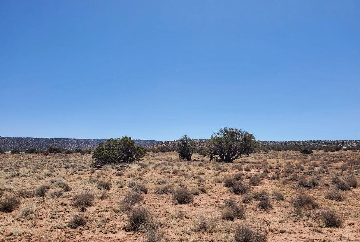 South big lot, Hill - 3992 Sorrel Rd, Snowflake, AZ 85937, USA