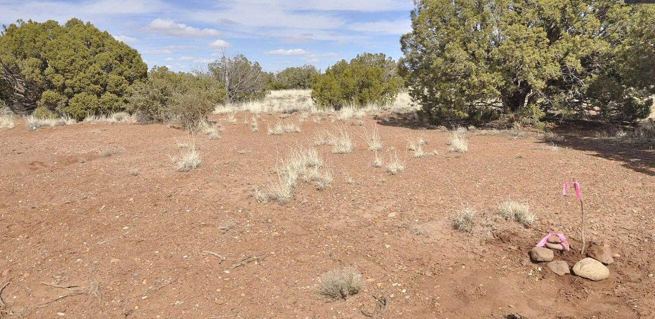 South big lot, Hill - 3992 Sorrel Rd, Snowflake, AZ 85937, USA